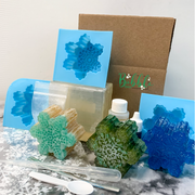 Holiday Bubble Box - Gift Subscription